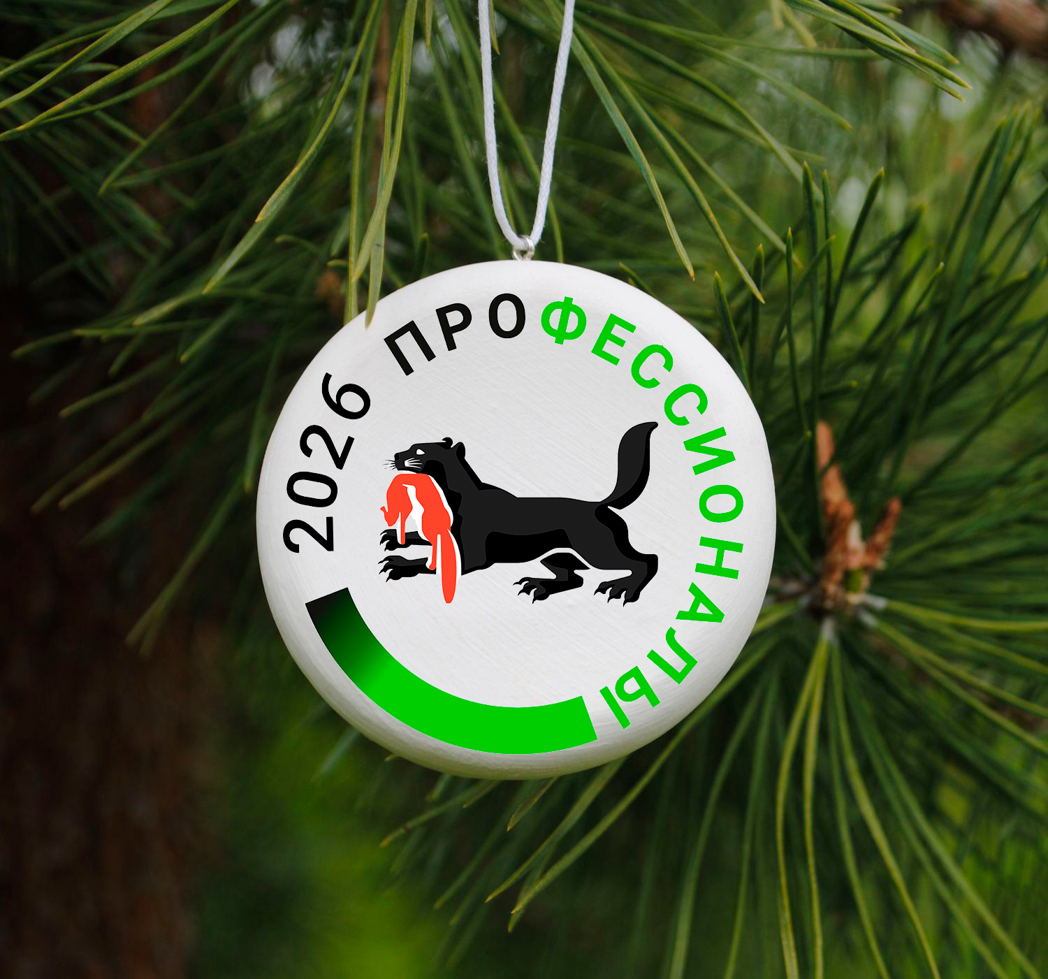 Внутренний отбор регионального этапа чемпионата по профессиональному мастерству "Профессионалы"